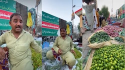 अदरक-लहसुन खरीदना हुआ सपना, पाव के हिसाब से बिक रहा टमाटर: पाकिस्तान के बहावलपुर मंडी का Video Viral, रेट सुन उड़े होश