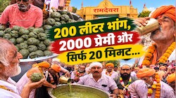 20 मिनट में 200 लीटर भांग हजम: जब बाबा के भोग के बाद प्रसादी रूप में बही 'भांग की गंगा', देश के कोने-कोने से पहुंचे दीवाने
