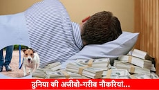 कहीं सोने तो, कहीं कुत्ते को टहलाने के मिलते हैं पैसे! ये हैं दुनिया की 7 सबसे अजीबो-गरीब नौकरियां