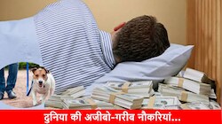 कहीं सोने तो, कहीं कुत्ते को टहलाने के मिलते हैं पैसे! ये हैं दुनिया की 7 सबसे अजीबो-गरीब नौकरियां