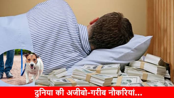 कहीं सोने तो, कहीं कुत्ते को टहलाने के मिलते हैं पैसे! ये हैं दुनिया की 7 सबसे अजीबो-गरीब नौकरियां