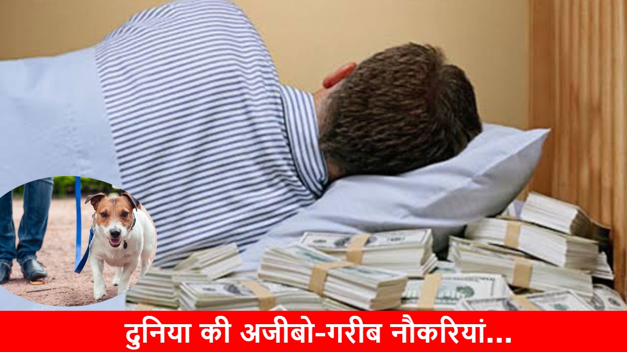 कहीं सोने तो, कहीं कुत्ते को टहलाने के मिलते हैं पैसे! ये हैं दुनिया की 7 सबसे अजीबो-गरीब नौकरियां कहीं सोने तो, कहीं कुत्ते को टहलाने के मिलते हैं पैसे! ये हैं दुनिया की 7 सबसे अजीबो-गरीब नौकरियां