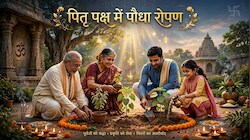 Pitru Paksha 2026: पितृ पक्ष में लगाएं ये 3 चमत्कारी पौधे, पितृ प्रसन्न होकर देंगे सुख-शांति का आशीर्वाद