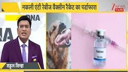 जी न्यूज की खबर का असर: नकली एंटी रेबीज वैक्सीन बेच रहे गोदाम पर पड़ा छापा, लोगों की जान से ज्यादा जरूरी क्यों हुआ पैसा?