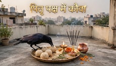 Pitru Paksha 2026: पितृ पक्ष में कौवा आए ही न तो क्या पंचबलि कर्म रह जाएगा अधूरा? जानें श्राद्ध के धार्मिक नियम!