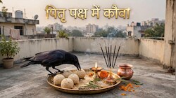 Pitru Paksha 2026: पितृ पक्ष में कौवा आए ही न तो क्या पंचबलि कर्म रह जाएगा अधूरा? जानें श्राद्ध के धार्मिक नियम!
