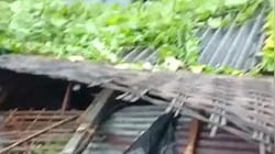 पूर्णिया में चक्रवाती तूफान का तांडव: मालोपाड़ा गांव में 50 से ज्यादा घर तबाह, पेड़ और बिजली के खंभे उखड़े
