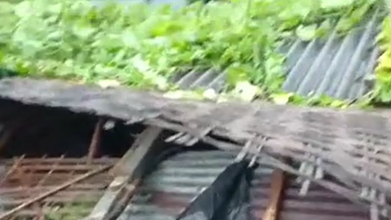पूर्णिया में चक्रवाती तूफान का तांडव: मालोपाड़ा गांव में 50 से ज्यादा घर तबाह, पेड़ और बिजली के खंभे उखड़े पूर्णिया में चक्रवाती तूफान का तांडव: मालोपाड़ा गांव में 50 से ज्यादा घर तबाह, पेड़ और बिजली के खंभे उखड़े