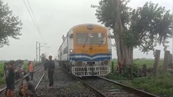 जमुई में रेल ट्रैक पर गिरा पेड़: OHE तार क्षतिग्रस्त, पूर्वा एक्सप्रेस और दुरंतो समेत कई ट्रेनें फंसी