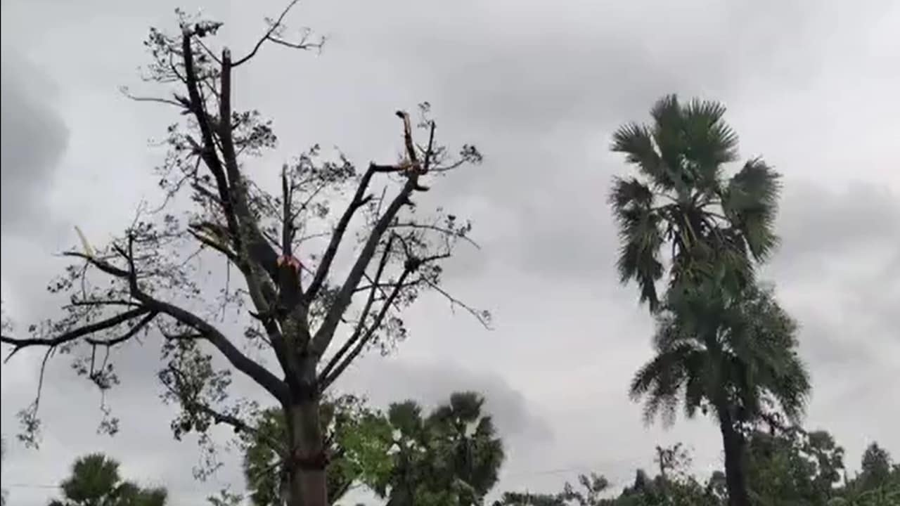 vaishali rain news