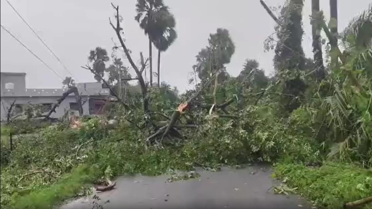 vaishali rain news