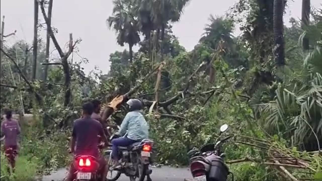 vaishali rain news