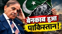 दुनिया में आतंकवाद से सबसे ज्यादा पीड़ित देश बना पाकिस्तान, पूर्व राजदूत बोले- 'घर में सांप पालने का नतीजा'