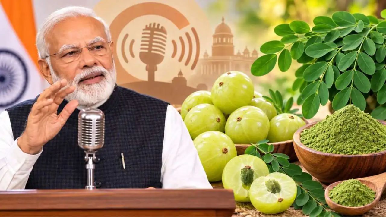"मन की बात" में छाया प्रतापगढ़ का आंवला: पीएम मोदी ने की तारीफ, गदगद हुए स्थानीय कारोबारी "मन की बात" में छाया प्रतापगढ़ का आंवला: पीएम मोदी ने की तारीफ, गदगद हुए स्थानीय कारोबारी