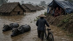 बाढ़ के खौफ में कट रहीं रातें: बगहा में उजड़े 1100 से अधिक आशियाने, चूड़ा-गुड़ खाकर गुजर रहे दिन