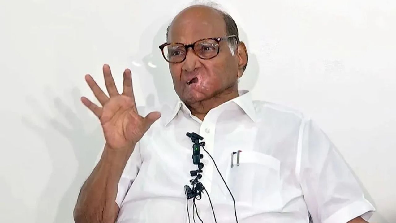 'आना है तो हमारे साथ आओ, हम कहीं नहीं जाएंगे': NCP विलय की अटकलों पर शरद पवार का बड़ा बयान 'आना है तो हमारे साथ आओ, हम कहीं नहीं जाएंगे': NCP विलय की अटकलों पर शरद पवार का बड़ा बयान