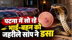 पटना में सो रहे भाई-बहन को जहरीले सांप ने डसा: इलाज के दौरान दोनों मासूमों की मौत, परिवार में मातम