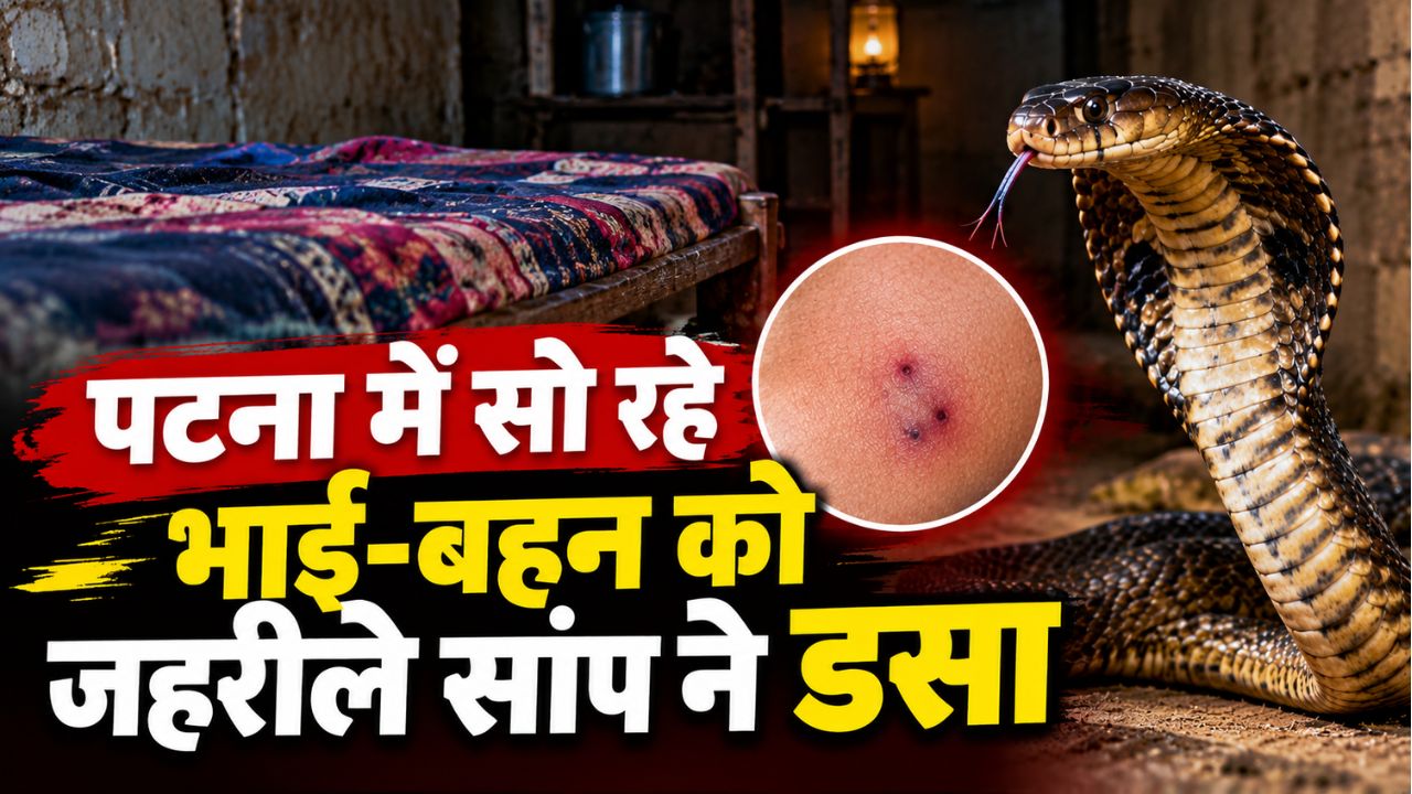 पटना में सो रहे भाई-बहन को जहरीले सांप ने डसा: इलाज के दौरान दोनों मासूमों की मौत, परिवार में मातम पटना में सो रहे भाई-बहन को जहरीले सांप ने डसा: इलाज के दौरान दोनों मासूमों की मौत, परिवार में मातम
