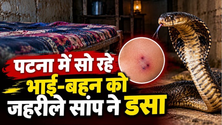 पटना में सो रहे भाई-बहन को जहरीले सांप ने डसा: इलाज के दौरान दोनों मासूमों की मौत, परिवार में मातम