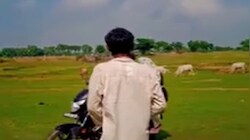 गया में प्रेमी जोड़े से बदसलूकी का VIDEO वायरल: मारपीट, गाली-गलौज और बाइक की चाबी छीनने का आरोप, पुलिस जांच में जुटी