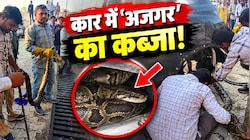 'फ्री कार राइड' लेने निकला अजगर: पहिए में कुंडली मारे बैठा देख युवक के उड़े होश, छुड़ाने में वन विभाग के छूटे पसीने