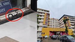 इंदौर के एमवाय अस्पताल में फिर लापरवाही! अब ओपीडी में घुसा सांप, मचा हड़कंप