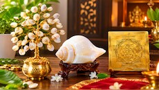 घर में राजयोग एक्टिव करेंगी ये पवित्र चीजें, पैसों की तंगी से मिलेगा हमेशा के लिए छुटकारा
