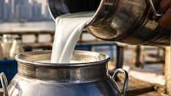 Indore Milk Price Hike: महंगाई का झटका! इंदौर में 1 अक्टूबर से महंगा होगा दूध, अब 1 लीटर इतने रुपये में मिलेगा