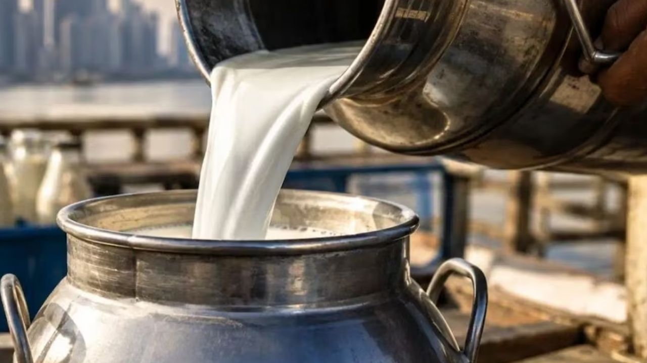 Indore Milk Price Hike: महंगाई का झटका! इंदौर में 1 अक्टूबर से महंगा होगा दूध, अब 1 लीटर इतने रुपये में मिलेगा Indore Milk Price Hike: महंगाई का झटका! इंदौर में 1 अक्टूबर से महंगा होगा दूध, अब 1 लीटर इतने रुपये में मिलेगा