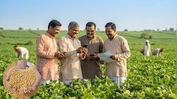 MP के किसानों के लिए बड़ी खबर: 3 अक्टूबर से शुरू होगा सोयाबीन उपार्जन पंजीयन, ₹ 1 भेजकर होगा बैंक खातों का सत्यापन
