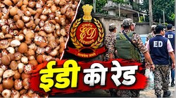 ED का शिकंजा: सुपारी सिंडिकेट के 16 ठिकानों पर रेड, करोड़ों की मनी लॉन्ड्रिंग का खुलासा; इंडोनेशिया-थाईलैंड से जुड़े तार