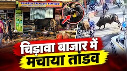 चिड़ावा में बीच बाजार 2 सांडों का आतंक! लड़ते-लड़ते पहले मिठाई की दुकान में घुसे, फिर मोबाइल शॉप में 