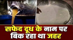 'सफेद जहर' बनाने वाली फैक्ट्री सील: धौलपुर में पॉम ऑयल और पाउडर से बन रहा था नकली दूध, 3 अरेस्ट