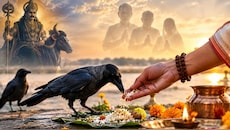 कौवे को खाना खिलाए बिना क्यों अधूरा है श्राद्ध? जानिए यमराज और पितरों से जुड़ा ये खास कनेक्शन