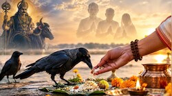 कौवे को खाना खिलाए बिना क्यों अधूरा है श्राद्ध? जानिए यमराज और पितरों से जुड़ा ये खास कनेक्शन