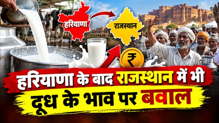 दूध के दाम बढ़ाने की मुहिम राजस्थान तक पहुंची, झुंझुनूं में किसानों का ऐलान- मांग पूरी होने तक दूध बंद
