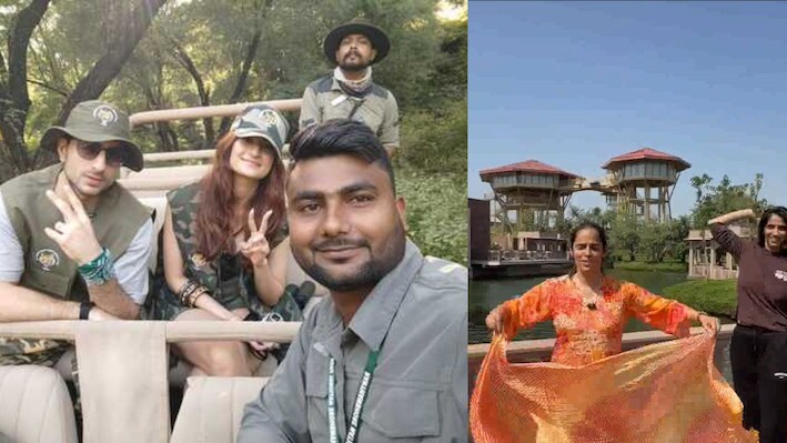 रणथंभौर में सितारों का जमावड़ा: इब्राहिम-पलक ने की टाइगर सफारी, साइना नेहवाल ने भी उठाया लुत्फ