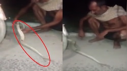 रोंगटे खड़े करने वाला नजाराः सारण में सांप खाते हुए युवक का वीडियो वायरल, अब हो सकती है जेल