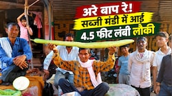 'लौकी' या 'अजूबा': धौलपुर की मंडी में जब पहुंची साढ़े 4 फीट की 'सुपर स्टार', लोग लेने लगे सेल्फी!