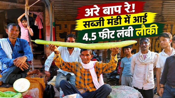 'लौकी' या 'अजूबा': धौलपुर की मंडी में जब पहुंची साढ़े 4 फीट की 'सुपर स्टार', लोग लेने लगे सेल्फी!