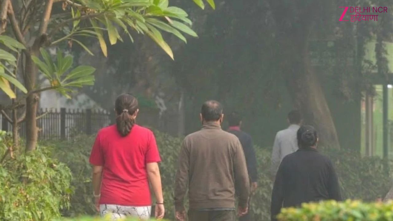 अब दिल्ली के पार्कों में बढ़ेगी सुरक्षा: 736 पार्कों का ऑडिट, हाई रिस्क वाले पार्कों पर फोकस अब दिल्ली के पार्कों में बढ़ेगी सुरक्षा: 736 पार्कों का ऑडिट, हाई रिस्क वाले पार्कों पर फोकस