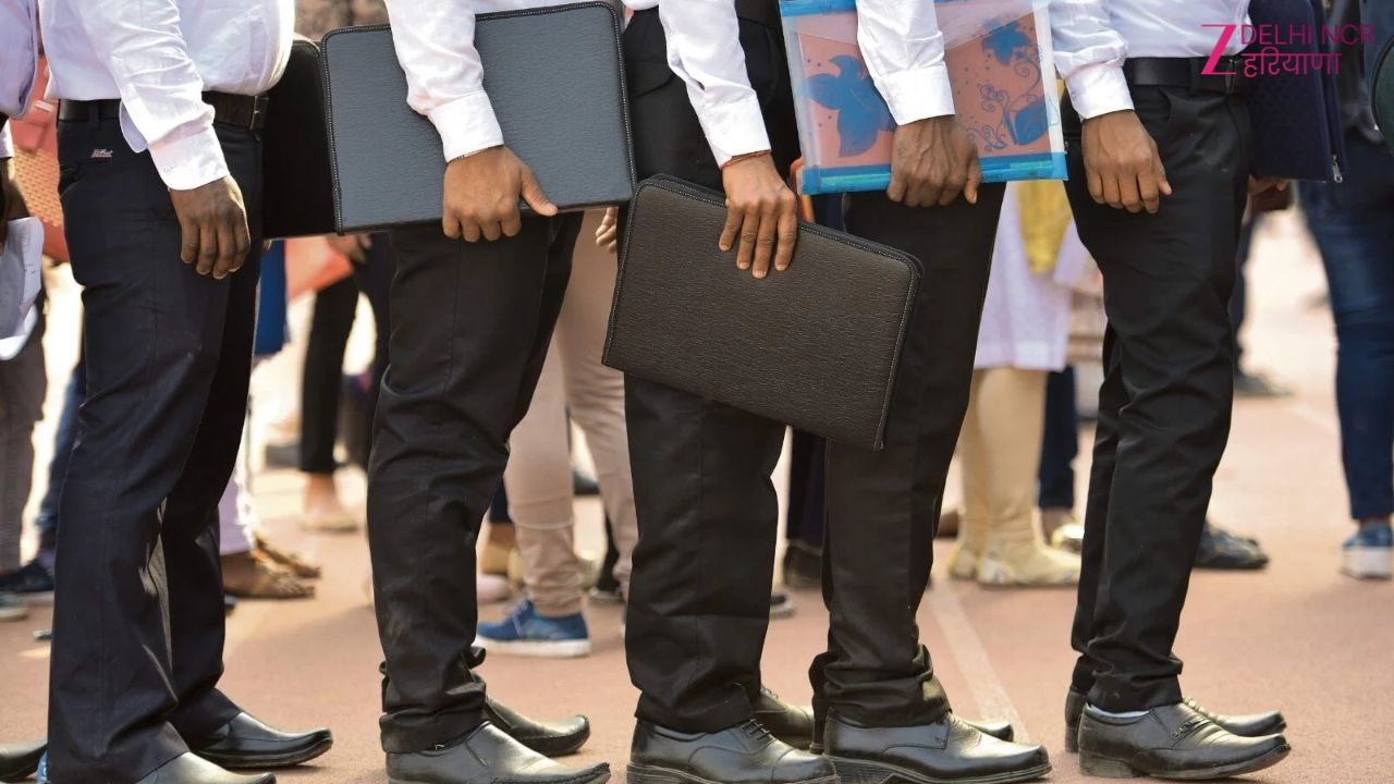 सरकारी नौकरी की तलाश खत्म: DSSSB में 641 पद खाली, कौन कर सकता है आवेदन सरकारी नौकरी की तलाश खत्म: DSSSB में 641 पद खाली, कौन कर सकता है आवेदन
