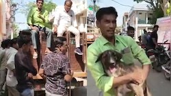 आवारा कुत्तों को पकड़ने आई थी नपा टीम, लेकिन पिंजरे पर बैठ गया मालिक, पीछे खड़ी थी पूरी कॉलोनी...फिर जो हुआ