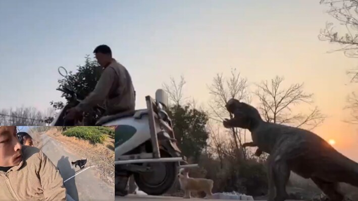 बाइक के पीछे बांध दिया 'डॉग-बीटिंग' डंडा: पास आते ही कुत्तों को भगाता है अनोखा जुगाड़, चीनी राइडर का Video Viral