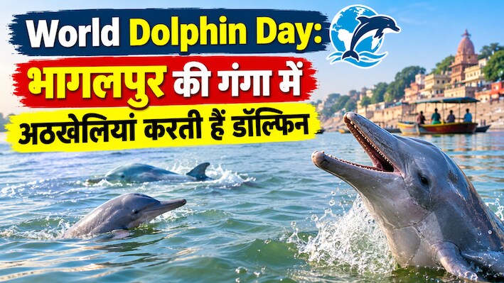 World Dolphin Day: सुल्तानगंज से कहलगांव तक गंगा में डॉल्फिन की अठखेलियां, बिखरी कुदरत की खूबसूरती