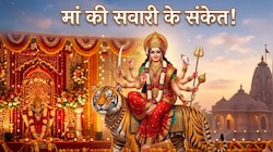 मां का वाहन: नवरात्र में मां का आगमन शुभ, पर प्रस्‍थान अशुभ, माता की सवारी दे रही तबाही के संकेत!