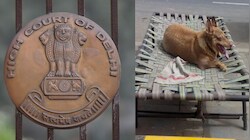लखनऊ के एक्सपर्ट देंगे दिल्ली में कुत्तों की नसबंदी की ट्रेनिंग, HC ने दिया 15 दिन का अल्टीमेटम