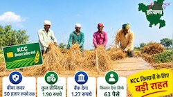 हरियाणा में अब KCC किसानों को मिलेगा 50 हजार तक का बीमा, प्रीमियम जानकर रह जाएंगे हैरान