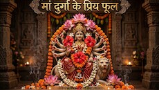 Navratri 2026: नवरात्र में मां दुर्गा को चढ़ाएं ये 5 फूल, मातारानी प्रसन्न होकर जल्दी पूरी करेंगी मनोकामनाएं!