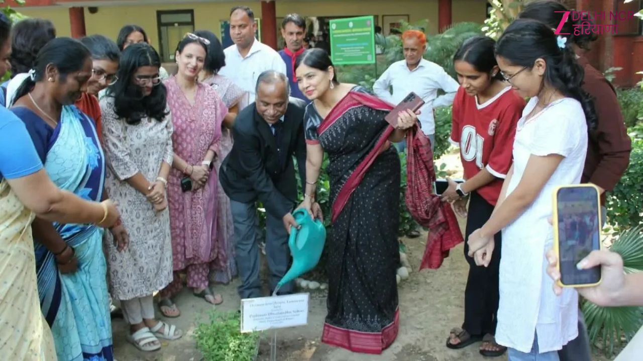 अब पौधे करेंगे प्रदूषण से मुकाबला! मिरांडा हाउस में बना भारत का पहला कार्बन गार्डन अब पौधे करेंगे प्रदूषण से मुकाबला! मिरांडा हाउस में बना भारत का पहला कार्बन गार्डन